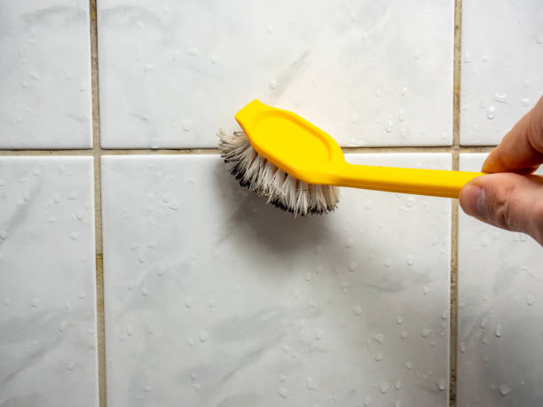 Best Office Mold Removal Services  in Longview, WA