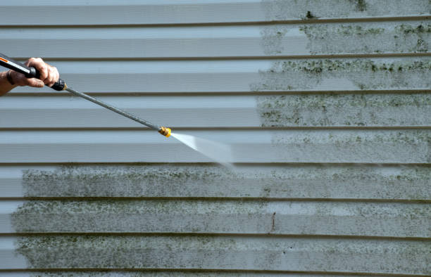 Office Mold Removal Services in Longview, WA