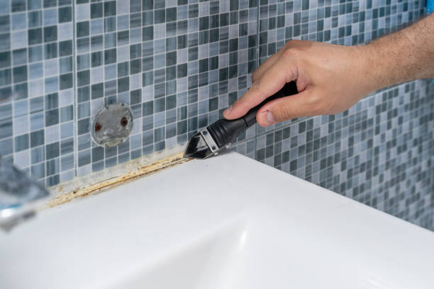 Best Mold Damage Repair  in Longview, WA